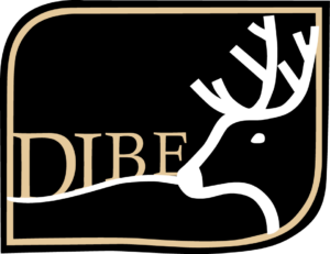 DIBE HISPANIA S.L