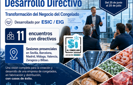 FROZEN-EMPLEO-Y-FORMACION